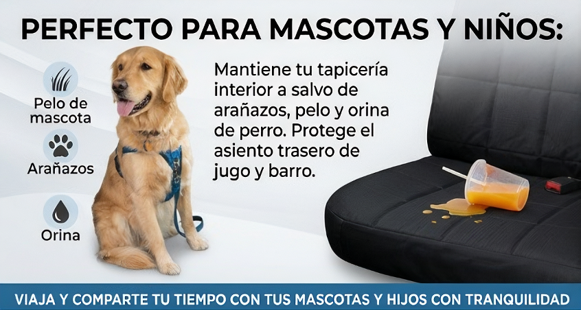 Dog Car Seat Cover